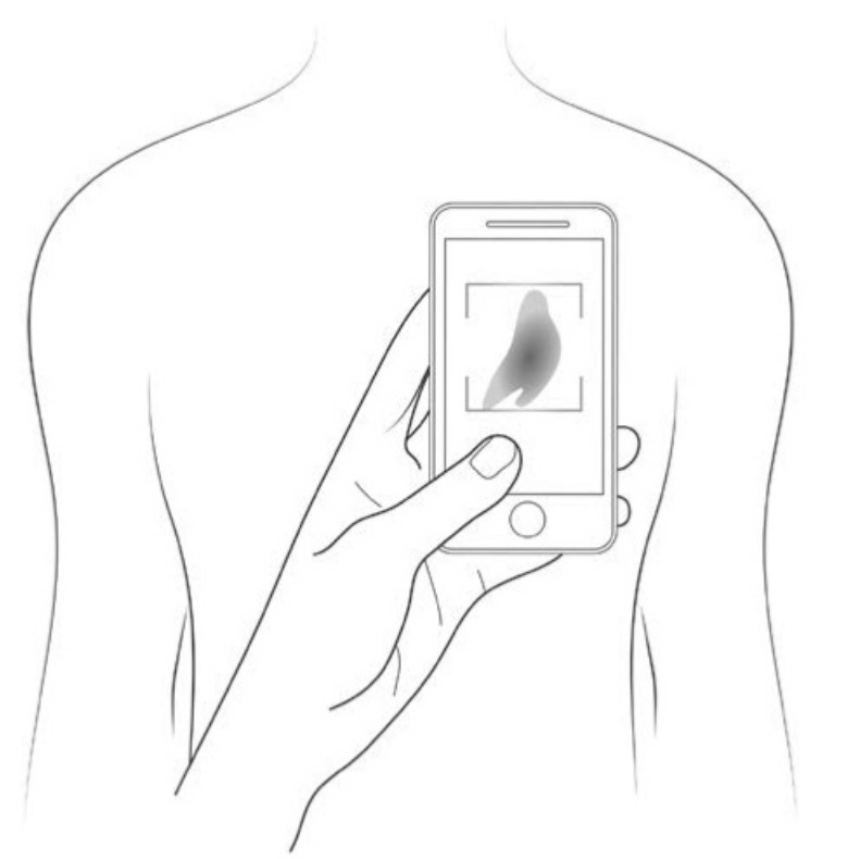 the smartphone being held in line with the area of interest